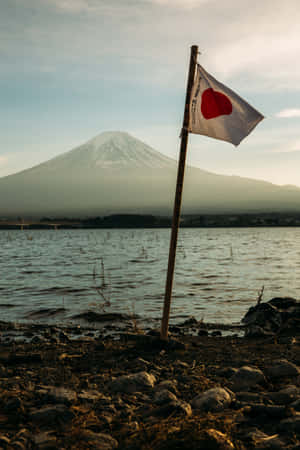 Japanese White Aesthetic 1999 X 2999 Wallpaper
