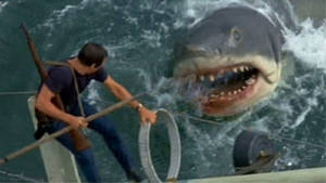 Jaws Man Vs Shark Wallpaper