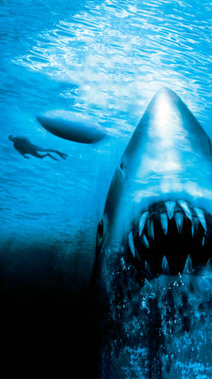 Jaws The Revenge Poster Wallpaper