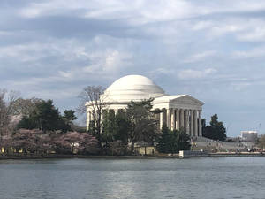 Jefferson Memorial Overcast Wallpaper