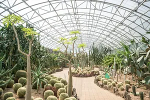 Jeju Island Hallim Park Wallpaper