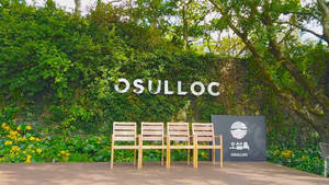 Jeju Island O’sulloc Wallpaper