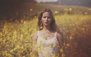 Jennifer Lawrence Field Of Yellow Flowers Wallpaper