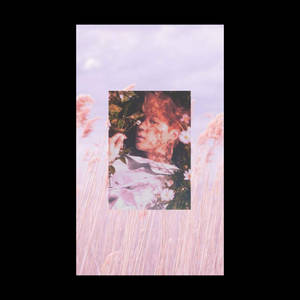 Jimin Aesthetic Pink Flowers Wallpaper