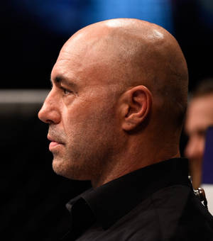 Joe Rogan Watching Match Wallpaper