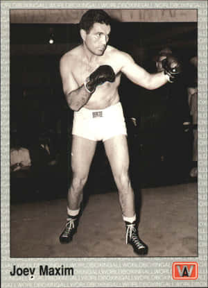 Joey Maxim White Shorts Wallpaper