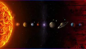 Join In On The Star-gazing Wallpaper