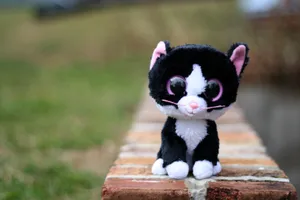 Join In The Fun With Boo And Stuff Wallpaper