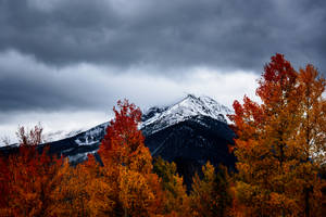 Join Me In Exploring The Alluring Beauty Of Fall, Nestled In The Mountains Wallpaper