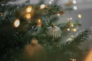 Join The Magic Of Christmas Night Wallpaper