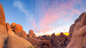 Joshua Tree National Park Red Rocks Pink Clouds Wallpaper