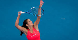 Julia Goerges Serving Wallpaper