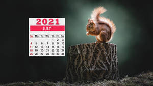 July 2021 Calendar With A Squirrel Wallpaper