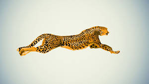 Jumping Cheetah Fanart Wallpaper