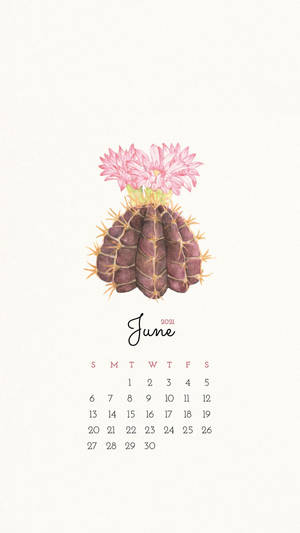 June 2021 Calendar Iphone Screen Background Wallpaper