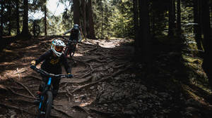 Jungle Mountain Biking At Rainforest Wallpaper