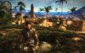 Just Cause 2 Palm Trees Wallpaper