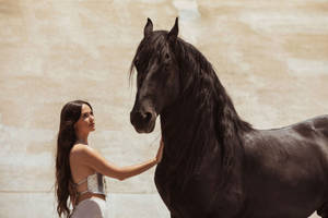 Kacey Musgraves With Black Horse Wallpaper