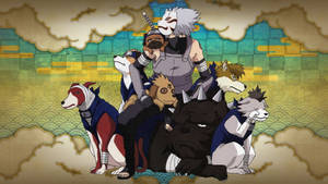 Kakashi Hatake And Ninja Dogs Wallpaper
