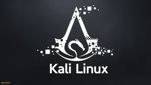 Kali Linux Ace Of Dragons Wallpaper