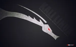 Kali Linux Graphic Dragon Hd Wallpaper