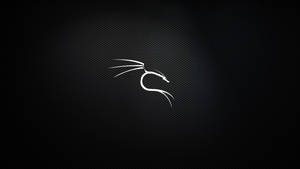 Kali Linux Silver Dragon Logo Wallpaper