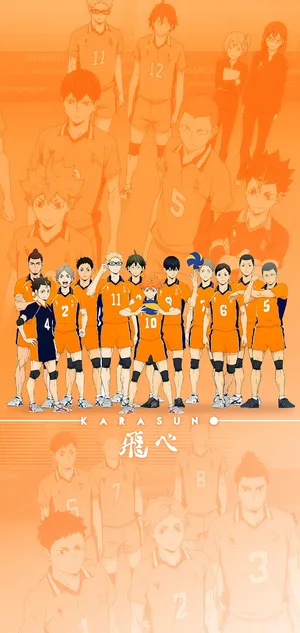 Karasuno High School - Fly Higher! Wallpaper