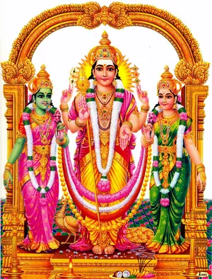 Kartikeya War God Hindu Iphone Wallpaper