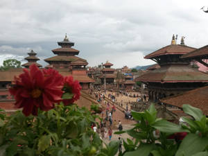 Kathmandu Red Flowers Wallpaper