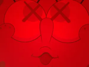 Kaws