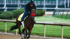 Kentucky Derby Horse Jockey Wallpaper