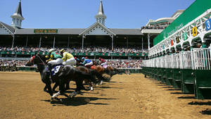 Kentucky Derby Horse Race Festival Wallpaper