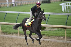 Kentucky Derby Horse Race Sport Wallpaper