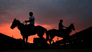 Kentucky Derby Horse Silhouette Wallpaper