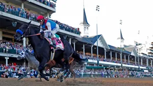Kentucky Derby Medina Spirit Wallpaper