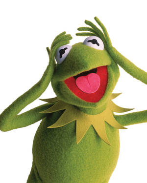 Kermit The Frog Hands On Head Wallpaper