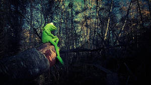 Kermit The Frog In Forest Wallpaper