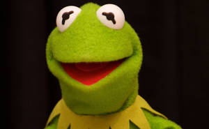 Kermit The Frog On Black Background Wallpaper