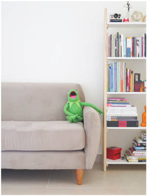Kermit The Frog On Couch Wallpaper