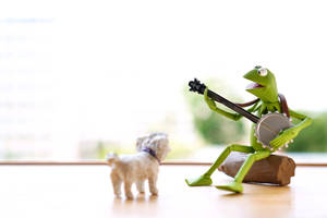 Kermit The Frog Playing Banjo To Dog Wallpaper