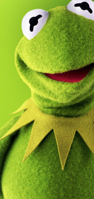 Kermit The Frog Smiling Wallpaper