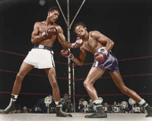 Kid Gavilan Colored Boxing Match Wallpaper