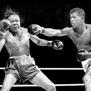 Kid Gavilan Harsh Punch Wallpaper