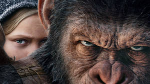 King Caesar Planet Of The Apes Wallpaper