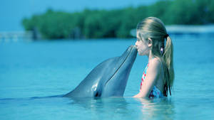 Kissing Cute Dolphin Wallpaper