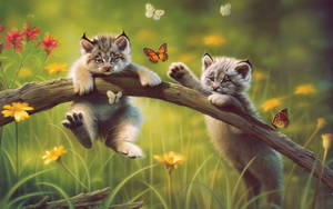 Kittens Chasing Butterflies Wallpaper