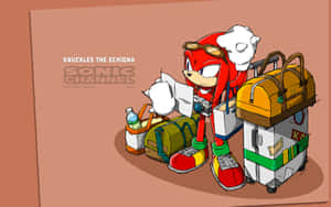 Knuckles The Echidna With Packed Bags Wallpaper