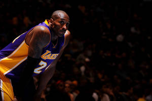 Kobe Bryant Holding Knees Nba Desktop Wallpaper