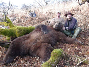 Kodiak Bear With Hunters Wallpaper