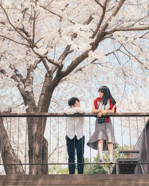 Korean Couple On The Terrace Wallpaper